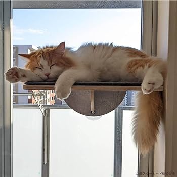 Amazon | 猫窓 平面ステップ 吸盤式 キャットタワー ねこ ネコ